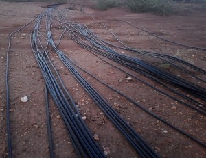 irrigation_lines